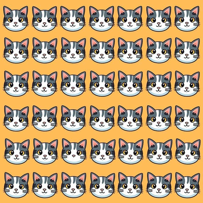 Tento optický klam je možný len pre ľudí s grandióznym IQ / Moje image